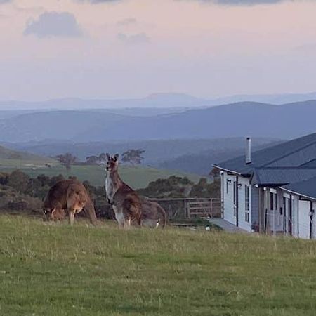 Rooks Edge Bed and Breakfast Gisborne Buitenkant foto