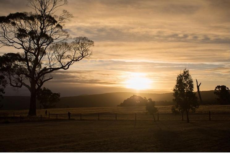 Rooks Edge Bed and Breakfast Gisborne Buitenkant foto