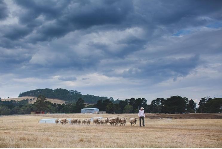 Rooks Edge Bed and Breakfast Gisborne Buitenkant foto