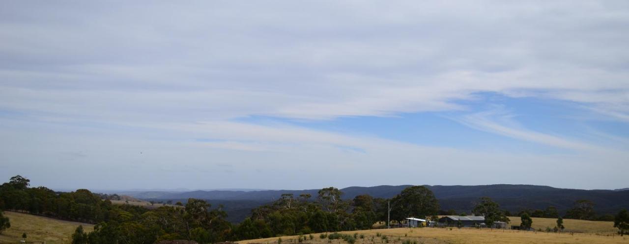 Rooks Edge Bed and Breakfast Gisborne Buitenkant foto
