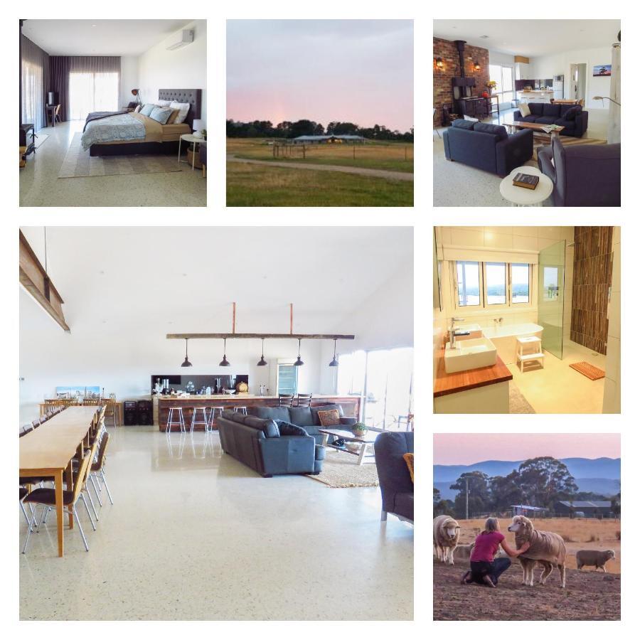 Rooks Edge Bed and Breakfast Gisborne Buitenkant foto