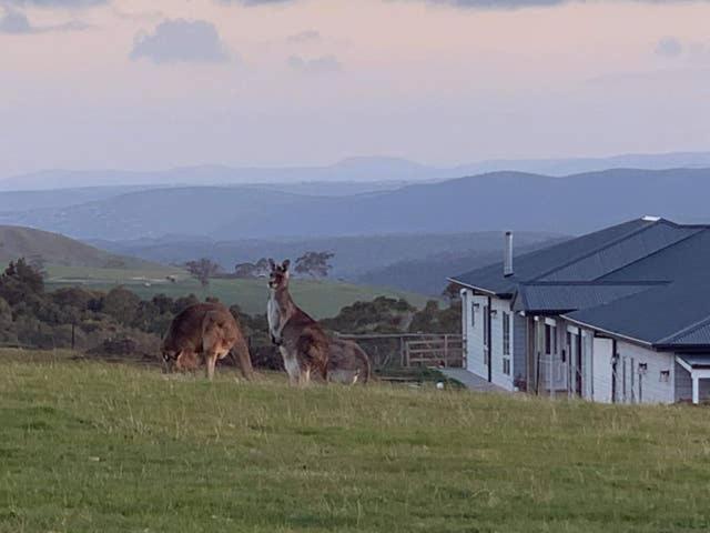 Rooks Edge Bed and Breakfast Gisborne Buitenkant foto